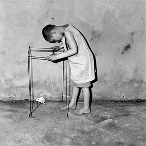 Disco Above de Reptile Youth