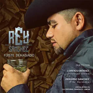 Disco Fuiste Demasiado de Rey Sánchez