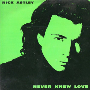 Disco Never Knew Love de Rick Astley