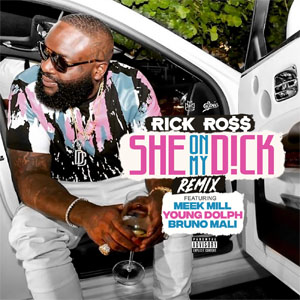 Disco She on My Dick (Remix) de Rick Ross