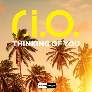 Disco Thinking Of You de R.I.O.