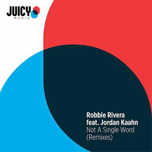 Disco Not a Single Word (Remixes) de Robbie Rivera