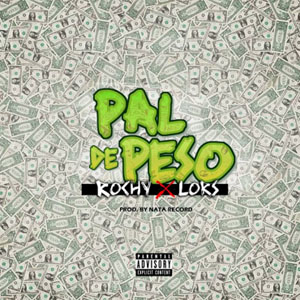 Disco Pal' de Peso de Rochy RD