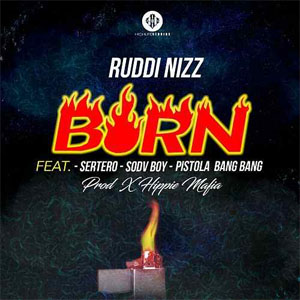 Disco Burn  de Ruddi Nizz