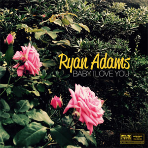 Disco Baby I Love You de Ryan Adams