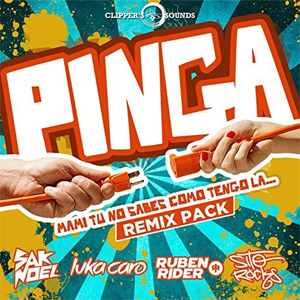 Disco Pinga (The Remix Pack) de Sak Noel