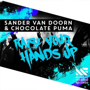 Disco Raise Your Hands Up de Sander Van Doorn