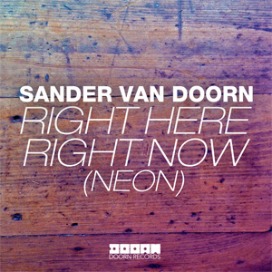 Disco Right Here Right Now (Neon) de Sander Van Doorn