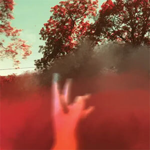 Disco Poison de Scarypoolparty