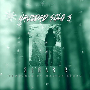 Disco Navidad Solo 3 de Sebas R