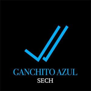 Disco Ganchito Azul de Sech