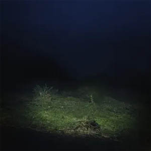 Disco PO2054AZ (Vol.II) de Sen Senra