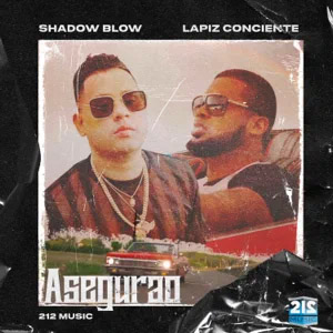 Disco Asegurao de Shadow Blow