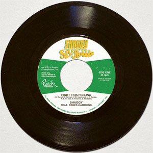 Disco Fight This Feeling de Shaggy