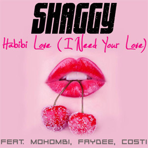 Disco Habibi Love de Shaggy