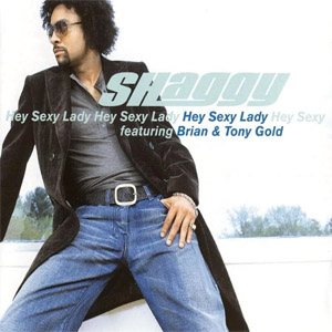 Disco Hey Sexy Lady de Shaggy