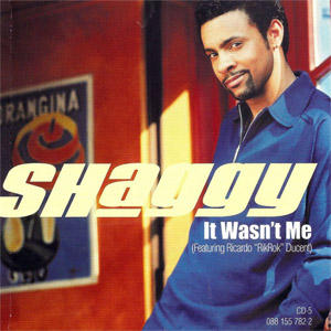 Disco It Wasn't Me (Single) de Shaggy