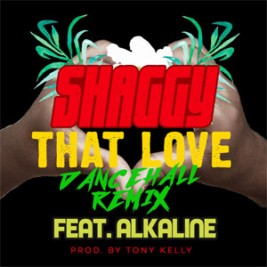 Disco That Love (Dancehall Remix) de Shaggy