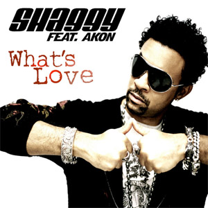 Disco What's Love de Shaggy