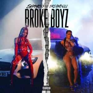 Disco Broke Boyz de Shaybo