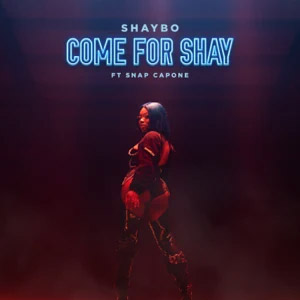 Disco Come for Shay de Shaybo
