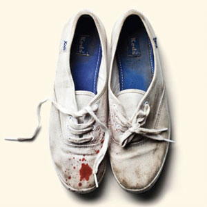Disco Reign Of Terror de Sleigh Bells