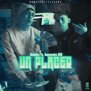 Disco Un Placer de Standly