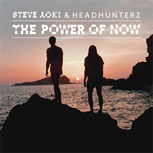 Disco The Power of Now de Steve Aoki