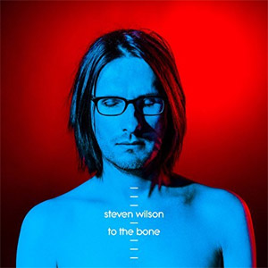 Disco To The Bone de Steven Wilson