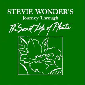 Disco The Secret Life of Plants de Stevie Wonder