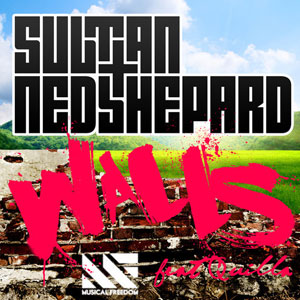 Disco Walls de Sultán & Ned Shepard