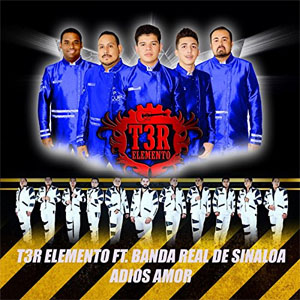 Disco Adiós Amor de T3r Elemento