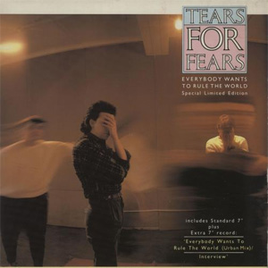 Disco Everybody Wants To Mix The World de Tears for Fears