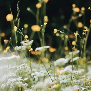 Disco Así Es El Amor de Tercer Cielo