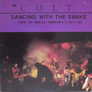 Disco Dancing With The Snake de The Cult