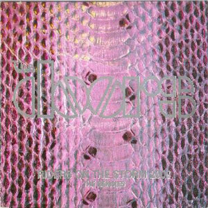 Disco Riders On The Storm 2000 (The Remixes) de The Doors