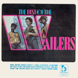Disco The Best Of The Wailers de The Wailers
