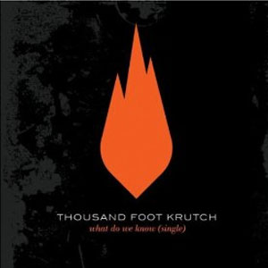 Disco What Do We Know de Thousand Foot Krutch