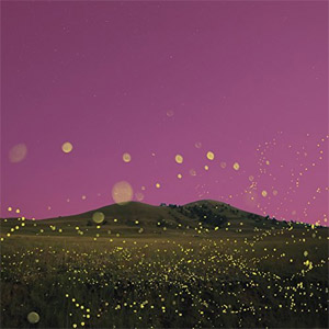 Álbum Chasing Flies de Tinie Tempah