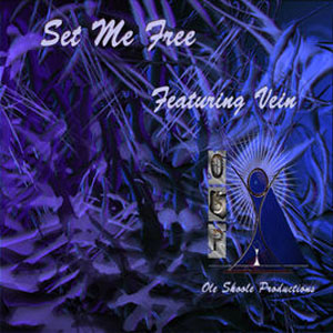 Disco Set Me Free de Vein
