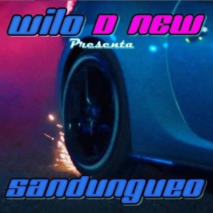 Disco Sandungueo de Wilo D' New