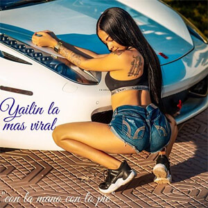 Disco Con la Mano Con Lo Pie de Yailin La Más Viral