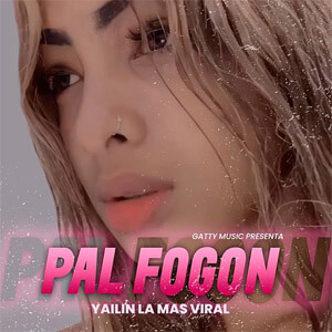 Disco Pal Fogón de Yailin La Más Viral