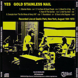 Disco Gold Stainless Nail de Yes