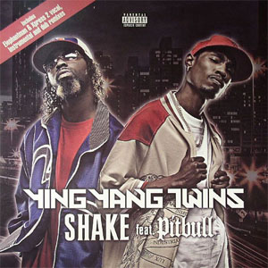 Disco Shake de Ying Yang Twins