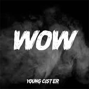 Disco Wow de Young Cister