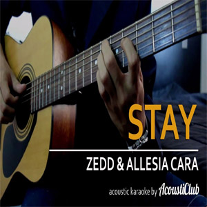 Disco Stay (Acoustic) de Zedd