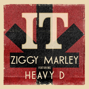 Disco It de Ziggy Marley