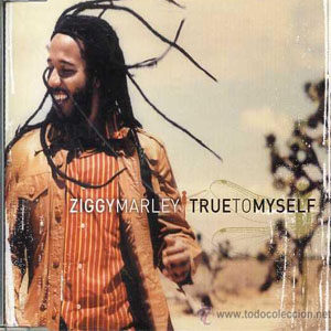 Disco True To Myself de Ziggy Marley