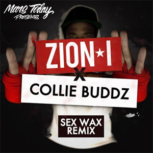 Disco Sex Wax (Remix) de Zion I
